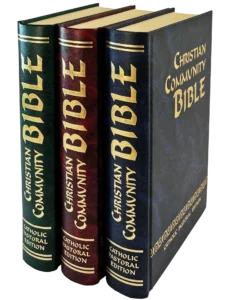 Biblia Latinoamérica | 9788428520492