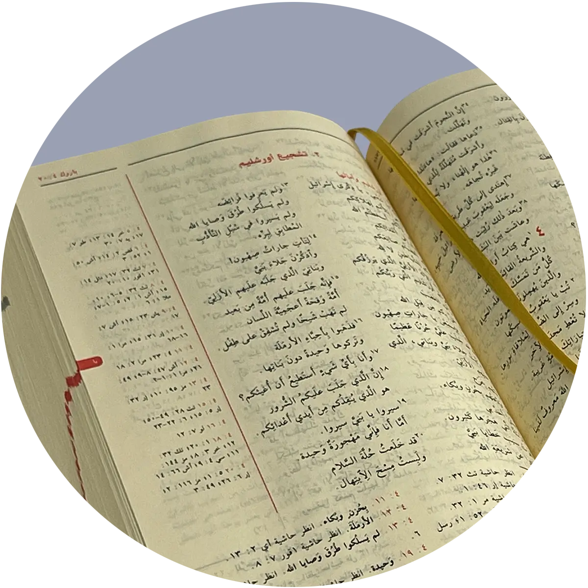 Biblia Árabe